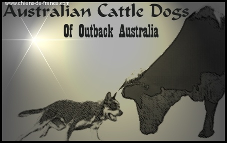 Of outback australia